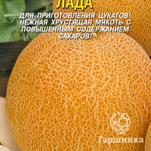 Дыня Лада 1 г Плазменные семена 31₽
