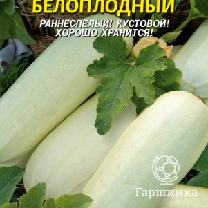 

Кабачок Белоплодный 11 шт, Плазменные семена