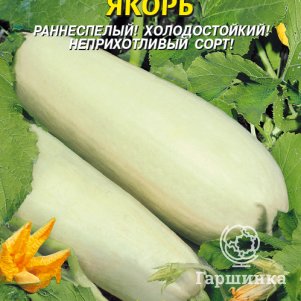 

Кабачок Якорь 11 шт, Плазменные семена