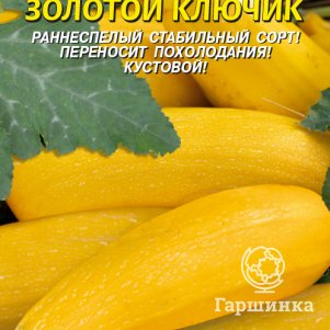 Кабачок Цуккини Золотой ключик 10 шт Плазменные семена 31₽