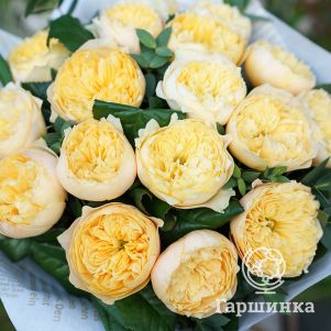 

Роза Вувузела Голд