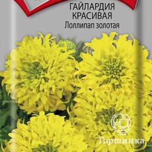 

Гайлардия Лоллипап золотая красивая 0,1 г, Семена Поиск