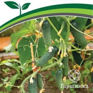 Огурец Бинго F1 5 шт Семена Партнер 277₽