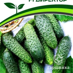 

Огурец Директор F1 5 шт. Семена Партнер