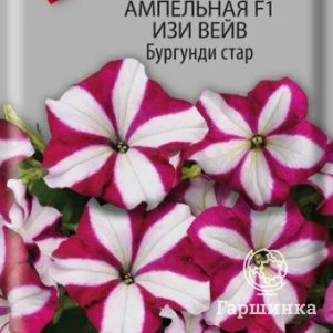 Петуния Бургунди Стар F1 ампельная (серия Изи Вейв) 5, Семена Поиск