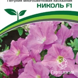

Петуния Николь F1 (серия МиМи) каскадная византийский розовый 5 шт. Семена Партнер