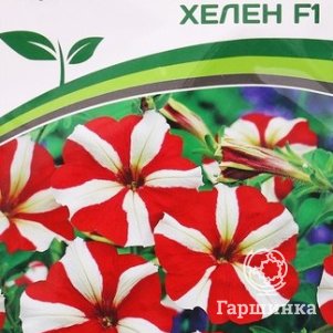 Петуния Хелен F1 (серия Мон Амур) прямостоячая звезда красно-белая 5 шт. Семена Партнер
