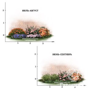 

Летнецветущая композиция