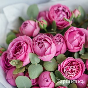 Роза Мисти Баблз