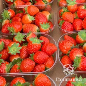 

Клубника Фурор ремонтантная