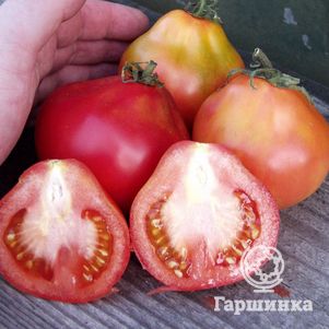 

Томат Трюфель Красный ц/п 20 шт, Семена Сибирский сад