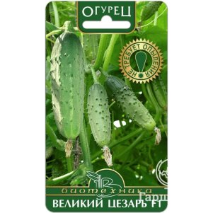 Огурец Великий Цезарь F1 Семена Биотехника 85₽