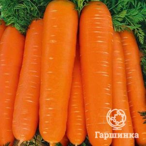 Морковь Нантская 5 суперсочная 2 г Семена Аэлита 23₽