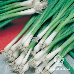 Лук Батун Нежность 1 г, Семена Гавриш