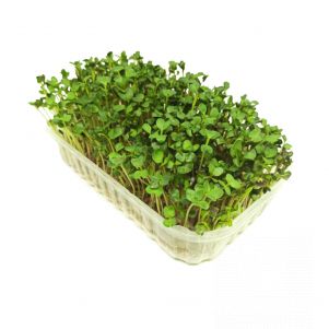 

Микрозелень Семена Редиса для проращивания (5 г)