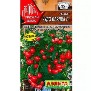 

Томат Чудо карлик 10 шт, Семена Аэлита