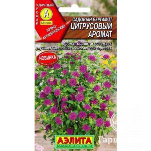 

Бергамот Цитрусовый аромат 0,02 г ЦП, Семена Аэлита