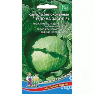 Капуста Чудо на засол белокочанная ЦП Уральский Дачник 0,3г, Семена Марс