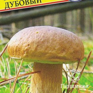 Белый гриб дубовый 50 мл Семена Престиж 146₽