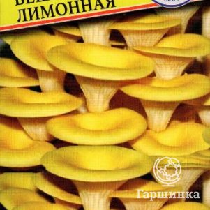 Вешенка лимонная или золотая 12 палочек Семена Престиж 120₽