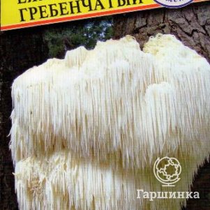 Ежевик гребенчатый Ямабуши 12 палочек Семена Престиж 120₽