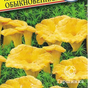 

Лисичка обыкновенная 50 мл, Семена Престиж