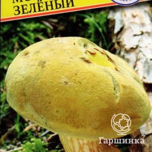 Моховик зеленый 60 мл Семена Престиж 146₽