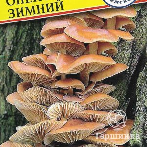 Опёнок зимний 50 мл Семена Престиж 120₽