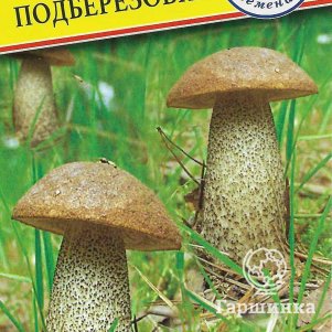 Подберёзовик 50 мл Семена Престиж 146₽