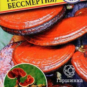 Рейши Гриб бессмертия 12 палочек Семена Престиж 120₽