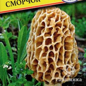 Сморчок 60 мл Семена Престиж 146₽