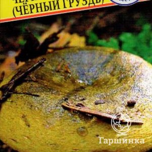 Чернушка Черный груздь 60 мл Семена Престиж 146₽