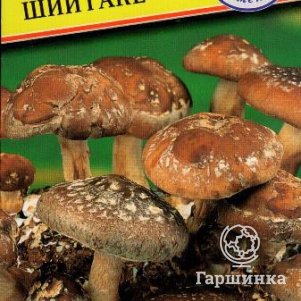 Шиитаке 12 палочек Семена Престиж 120₽