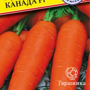 

Морковь Канада F1 на ленте 6 м, Семена Престиж