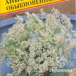 

Анис обыкновенный 0,5 г, Семена Престиж