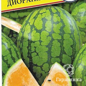 Арбуз Диоранж F1 3 шт Семена Престиж 72₽