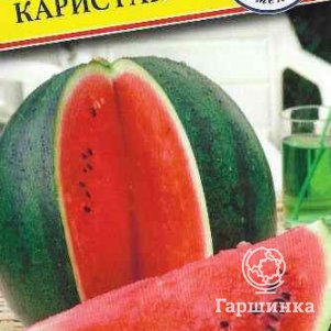 Арбуз Каристан F1 3 шт Семена Престиж 83₽