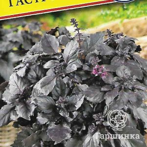 Базилик Гастроном 05 г Семена Престиж 30₽