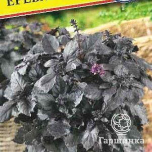 Базилик Ереванский 05 г Семена Престиж 21₽