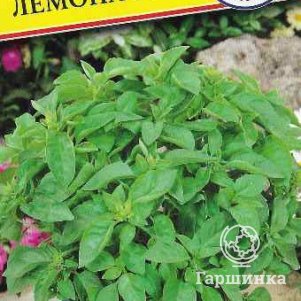 Базилик Лемона 05 г Семена Престиж 46₽