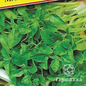 Базилик Мариан 05 г Семена Престиж 40₽