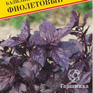 Базилик Фиолетовый 05 г Семена Престиж 35₽