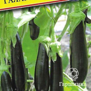 Баклажан Галактика F1 5 шт Семена Престиж 35₽