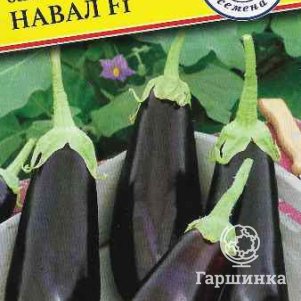 Баклажан Навал F1 3 шт Семена Престиж 54₽