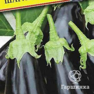 Баклажан Шарапова F1 5 шт Семена Престиж 98₽
