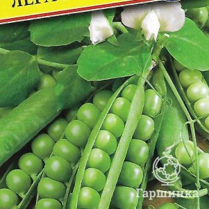 

Горох Легаси 4 г, Семена Престиж