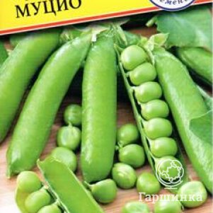 

Горох Муцио 4 г, Семена Престиж