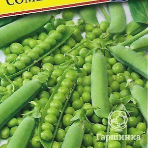 Горох Сомервуд F1 4 г Семена Престиж 24₽