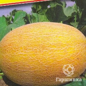 Дыня Раймонд F1 3 шт Семена Престиж 83₽