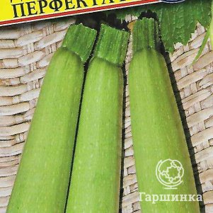 

Кабачок Донья Перфекта F 5 шт, Семена Престиж